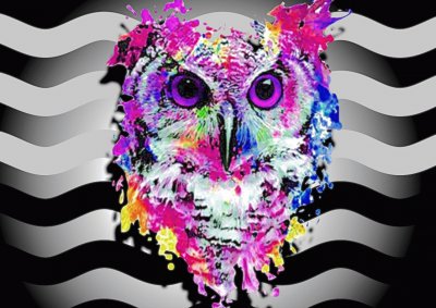 Hibou