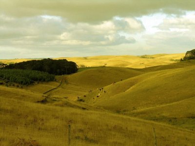 SERRA GAUCHA