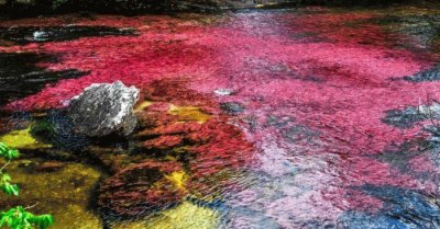 CaÃ±o Cristales