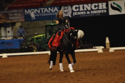 Cobra | Wild Mustang Now Breyer Horse   Champion