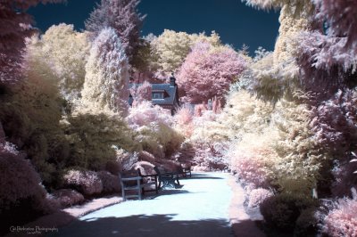 Infrared gardens