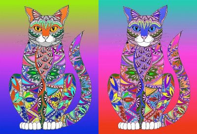 Rainbow cats