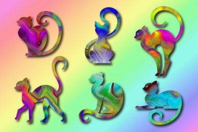 Curly tailed colour cats