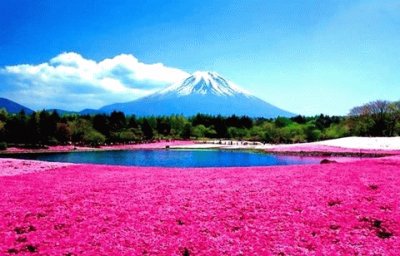 Mountain Fuji