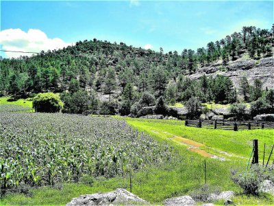 Sierra Tarahumara, Chihuahua.