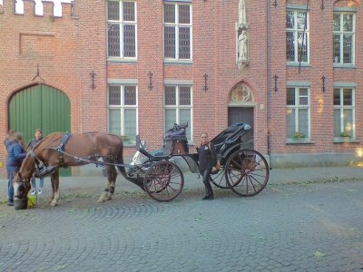 CARRUAJE EN BRUJAS