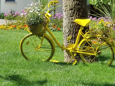 yellow bike