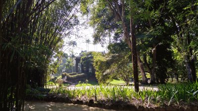 Jardim BotÃ¢nico - Rio de Janeiro