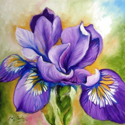 Purple Iris