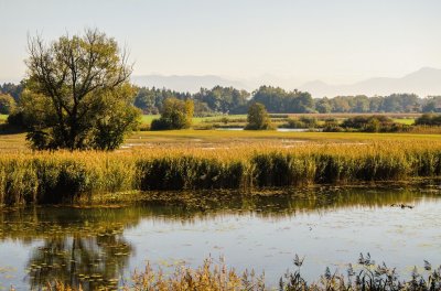 reusslandschaft