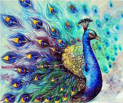 Beautyful Peacock