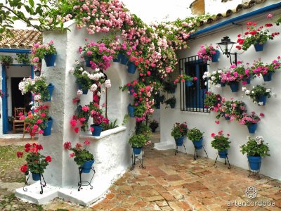 Patio de Cordoba