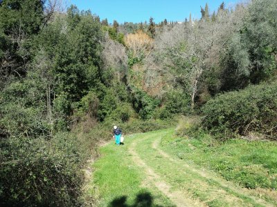 COLLINE di P.di CONCA