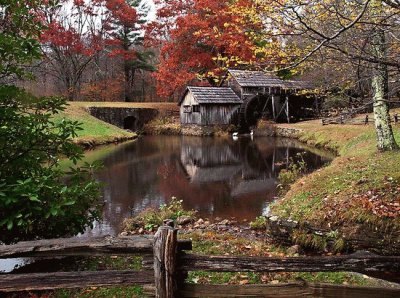 naturaleza