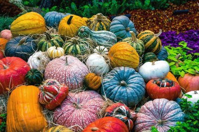 Calabazas