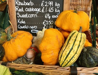 Autumn Squash Pumpkins