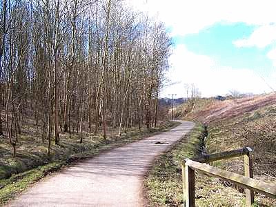 The Nutbrook Trail