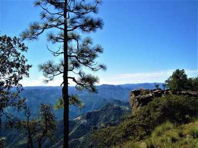 El Divisadero, Chihuahua.