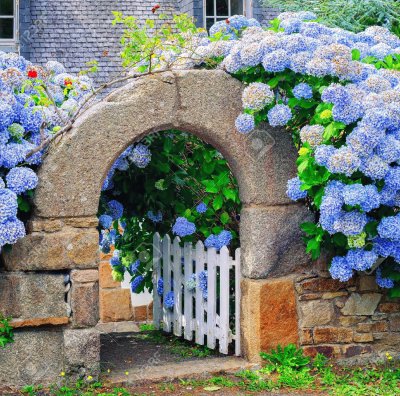 Fachada con hortensias