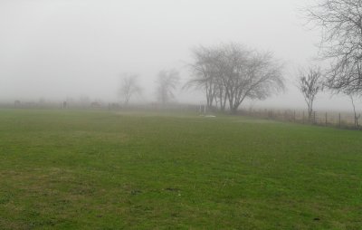 la Pampa hÚmeda - Argentina