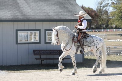 charro