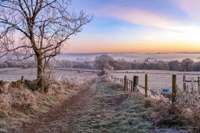 Frosty Track Scotland