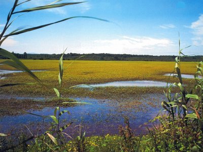 marais d 'Orx