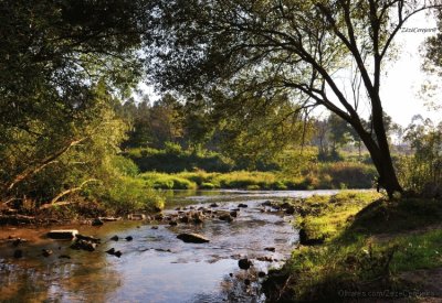 pele river