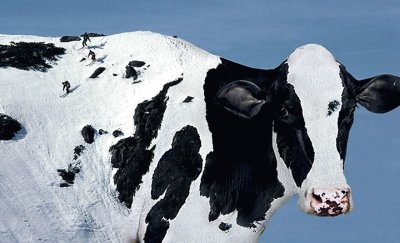 ski Ã  la ferme