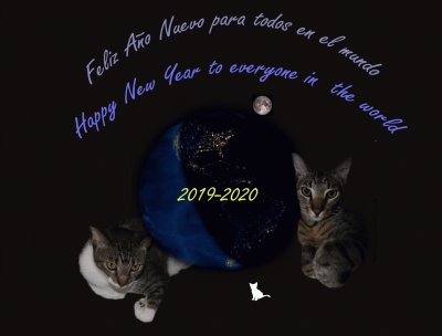 Happy new year for everyone  in the word