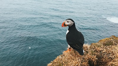 A LA ORILLA DEL MAR