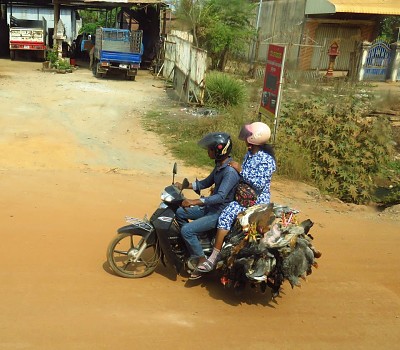 CAMBODIA