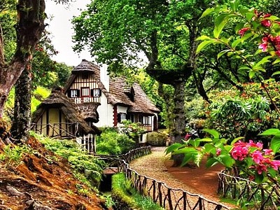 Floresta das Queimadas-Madeira