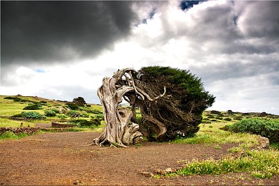 Canary Islands