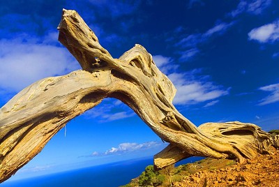 Canary Islands