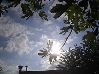 il faisait beau de jour-lÃ , malgrÃ© quelques nuages