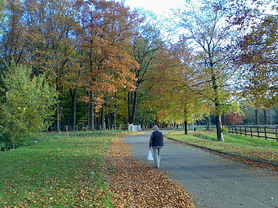 herfst