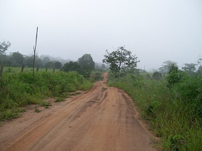 natureza e famÃ­lia