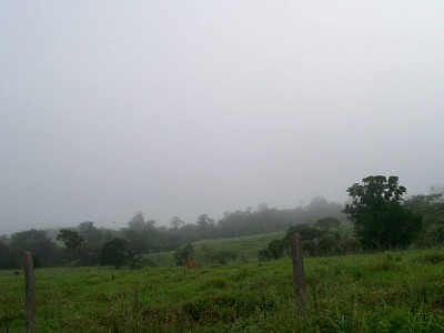 natureza e famÃ­lia