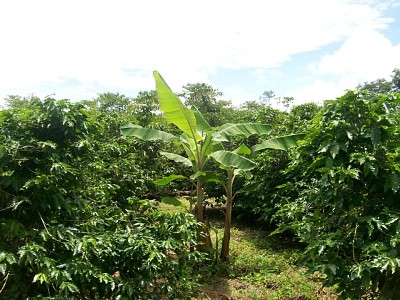 natureza e famÃ­lia