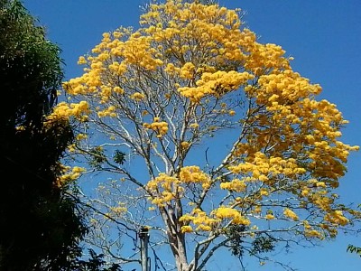 natureza e famÃ­lia