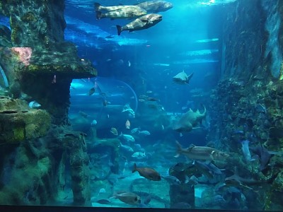 Aquarium San Sebastian