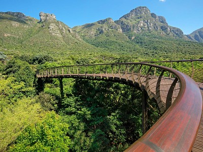 Jardim Botânico - Africa do Sul jigsaw puzzle