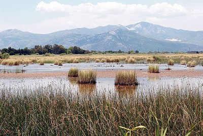 Marshlands of Marathon