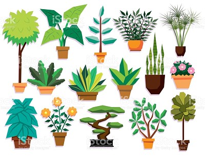 plantas