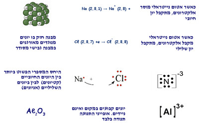 ×¤××–×œ ×™×•× ×™× ×—×“×©