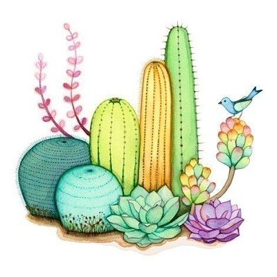 cactus