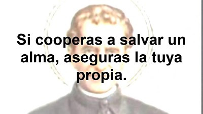 don bosco