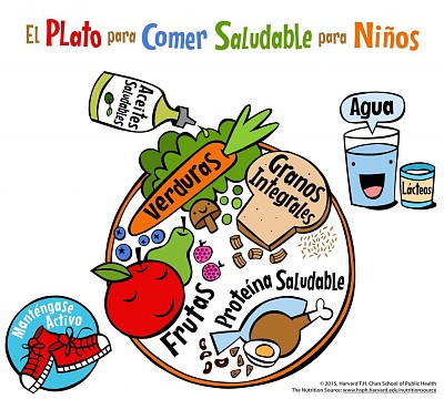 alimentos