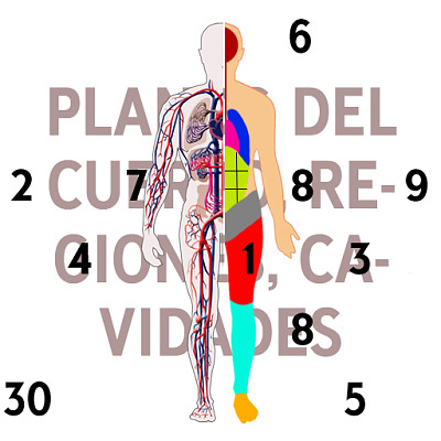 Planos, tÃ©rminos, regiones y cavidades